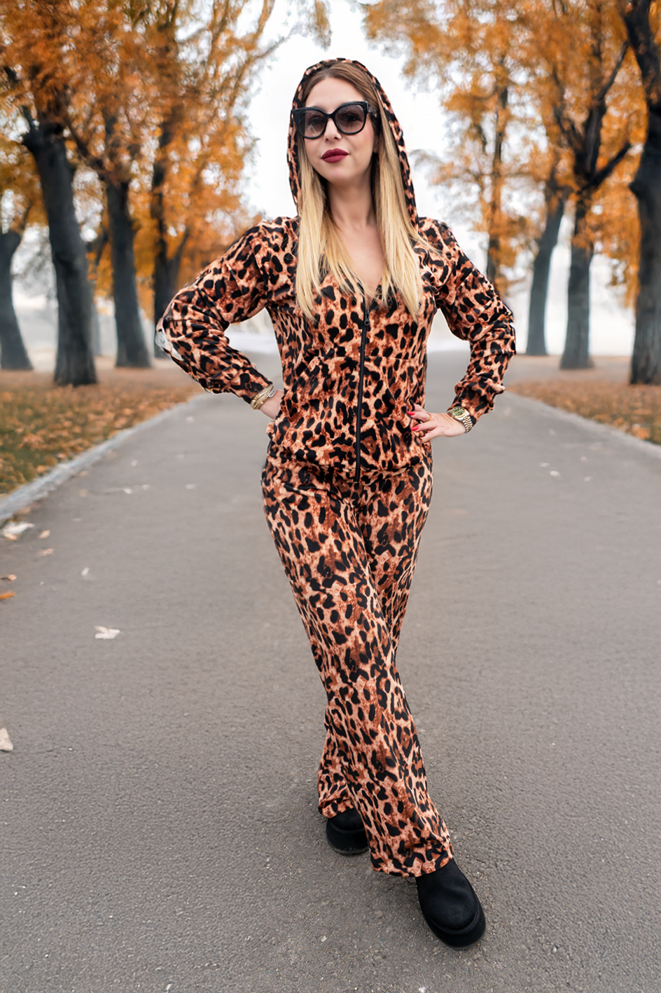 Entrenamiento felino